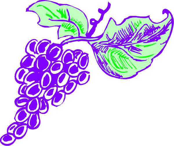 The image shows a bunch of grapes with leaves attached to them on top left corner against black background.