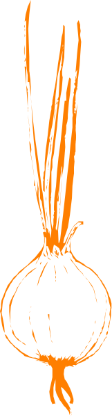 The image shows a black and white photo of an onion with orange lines drawn over it to create patterns resembling eyes and mouths.