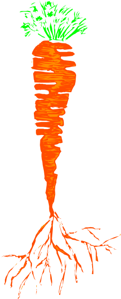 The image shows a carrot with roots drawn on it against a black background.