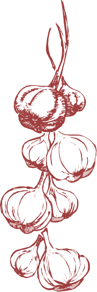 The image shows a bunch of garlic bulbs hanging from strings against a dark background with red accents on top right corner.