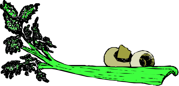 The image shows a cartoon of an egg with two eyes on it rolling down what appears to be a green slope towards some trees in the background under a dark sky at nighttime.