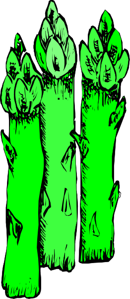 The image shows a green asparagus plant with three stalks against an unidentified background.