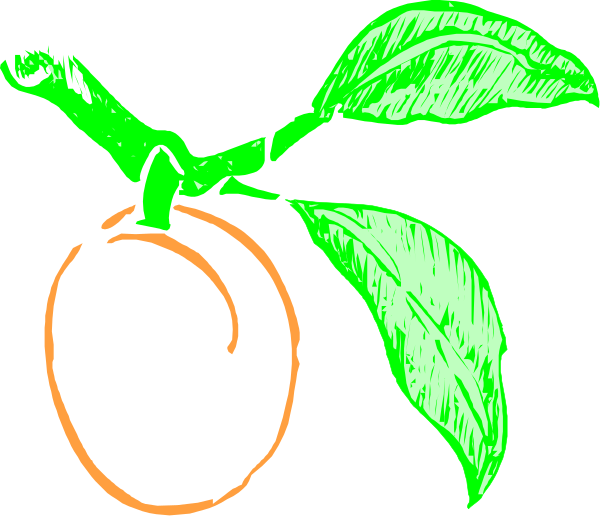 The image shows a green leafy plant with an orange fruit hanging from it against a black background.
