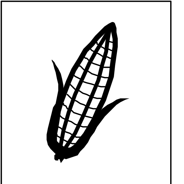 The black and white illustration shows a corn cob on top of an ear of maize with kernels visible inside it against a plain background.