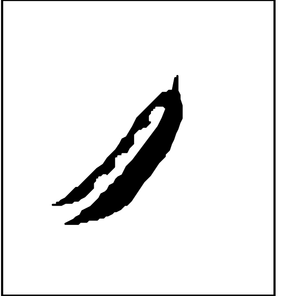 The image shows a black and white illustration of two feathers with different shapes: an arrowhead shape on top left corner and another one that is more curved in nature below it to its right side.