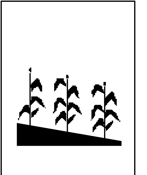 The black and white silhouette of a field with crops on it against an open sky background.