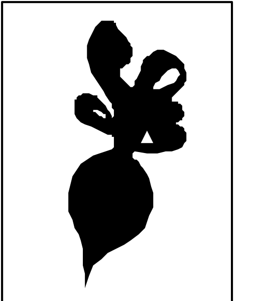 The black silhouette of a leaf on white background with no additional context provided about its location within an object or scene.