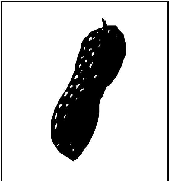 The black and white illustration shows a pickle on top of two squares with lines connecting them to form an abstract shape resembling a face.