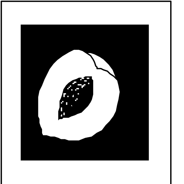 The black and white logo of a fruit with leaves on it next to an icon that resembles a leafy plant.