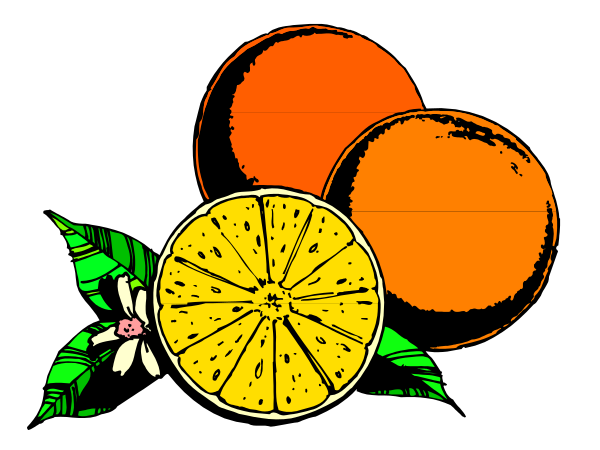 The image shows a graphic of three sliced citrus fruits with leaves on top against an orange background; there is no text present in this clip-art illustration.