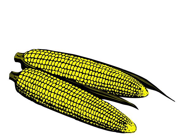 The image shows a bunch of yellow corn on cob with green leaves against a black background.