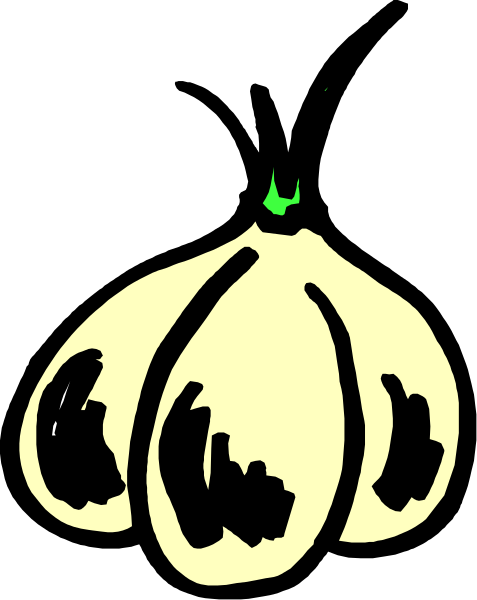 The black and white illustration shows a bunch of garlic bulbs with cloves on top against an unseen background.