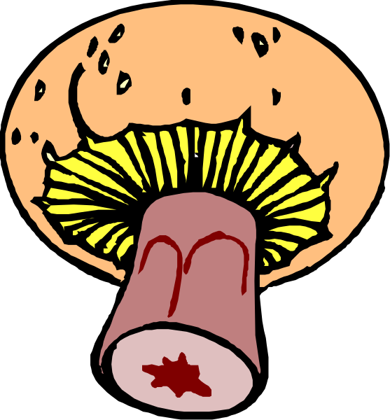 The cartoon shows a mushroom cloud with an explosion at its center against a black background; there is no text present in this image.