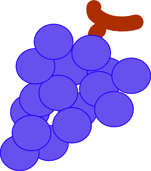 The image shows a bunch of grapes with purple circles around them on what appears to be an x-ray film background.