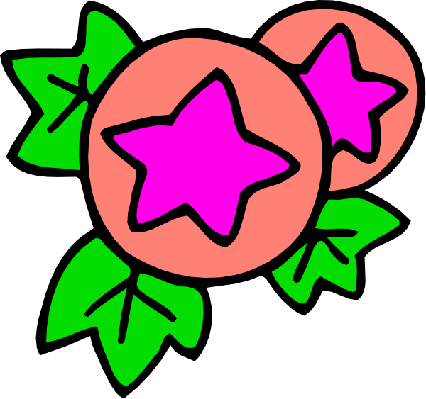 The image shows three pink flowers with green leaves on a black background.