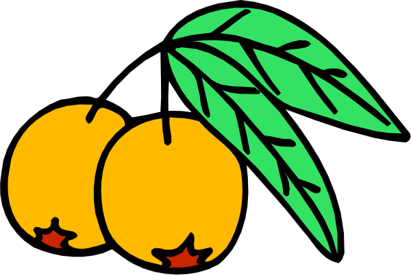The image shows a bunch of green mangoes with leaves on top against an orange background.