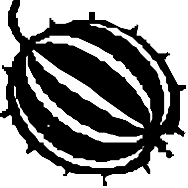 The black and white logo of a soccer ball with lines radiating from it to form an abstract design around its circumference.