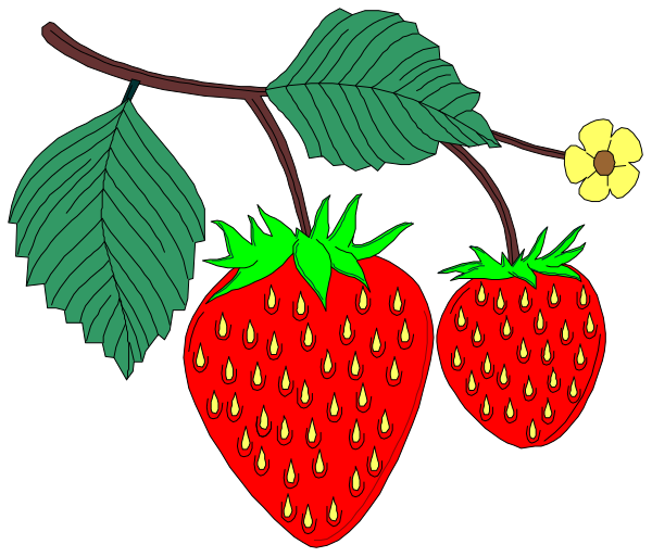 The illustration shows three strawberries hanging from a vine with green leaves against a black background.