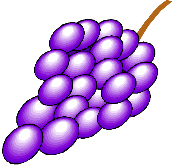 The image shows a purple grape cluster on top of another bunch with greenish hues next to it against a black background.