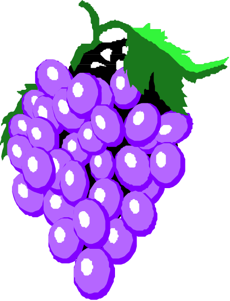 The image shows a bunch of purple grapes with green stems hanging from them against a black background on top left corner.