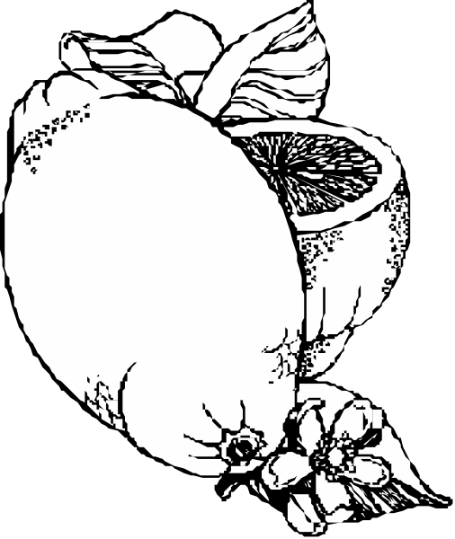 The black and white illustration shows a stylized depiction of an apple with leaves on top placed over what appears to be a heart shape at its center.