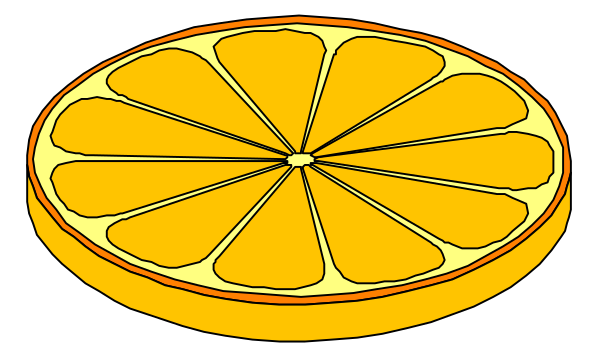 The image shows a slice of an orange with its peel still on it placed next to half of another whole fruit that appears similar in shape but is cut into segments revealing juicy interior flesh.
