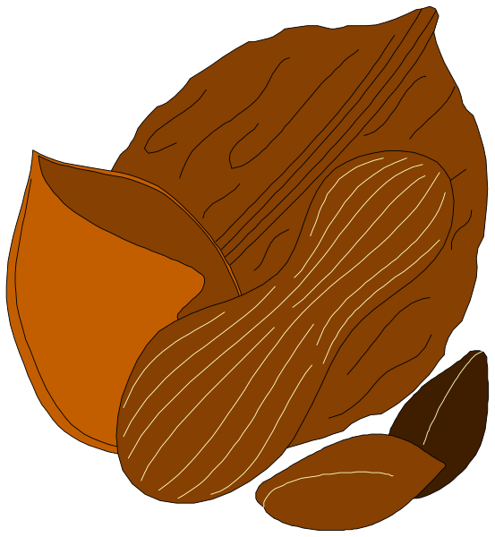 The illustration shows a closeup of almonds with their shell intact on top left corner against black background; there is no text present in this image.