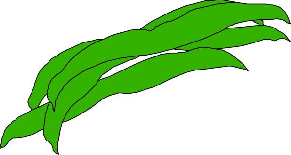 The image shows a green leaf with veins against a black background.