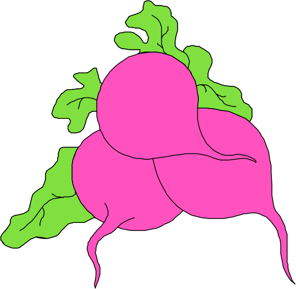 The image shows two pink radishes with green leaves on a black background.