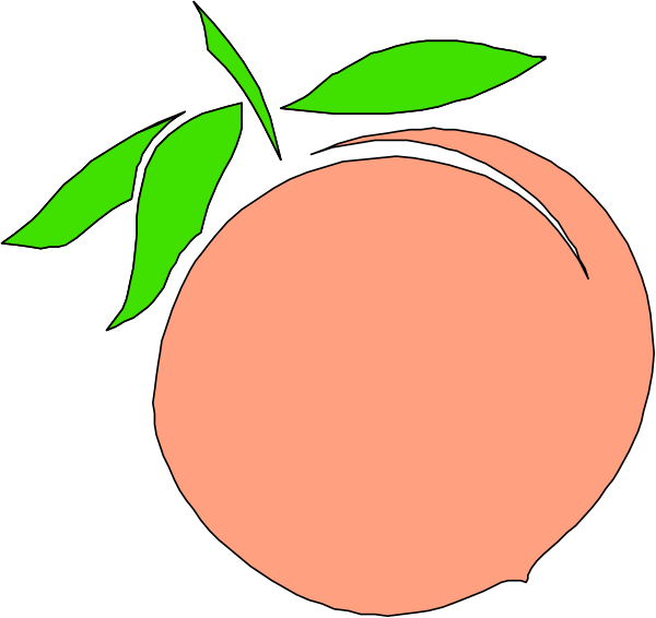 The image shows a stylized graphic of an orange with green leaves on it against a black background.