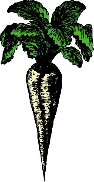 The image shows a tall palm tree with green leaves against a black background on top of an object that resembles a white flower bud in front of it.