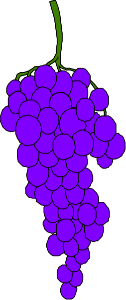 The image shows a bunch of purple grapes hanging from a vine against a gray background with black borders on either side.