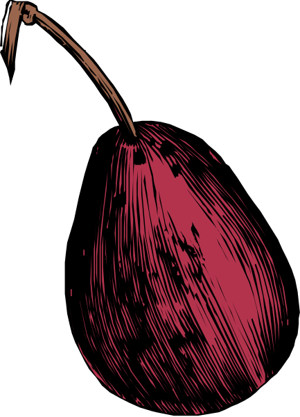 The image shows a single red flower with petals against a black background on an electronic device screen displaying it as wallpaper.