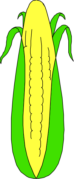 The image shows a cartoon of an ear of corn with cobbed kernels on top next to a whole yellow maize stalk in front of it against a black background.