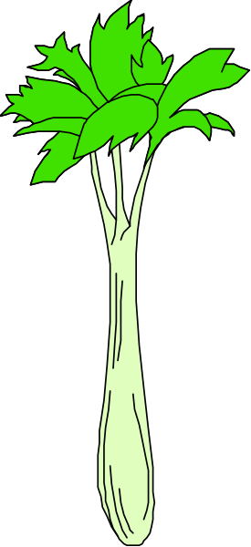 The image shows a green plant with roots extending downwards against a black background.