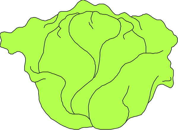 The image shows a green blob with yellow lines on it against a black background.