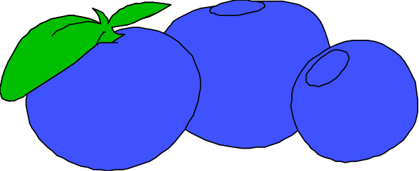 The image shows a cluster of blue grapes with green leaves on top against a dark background.