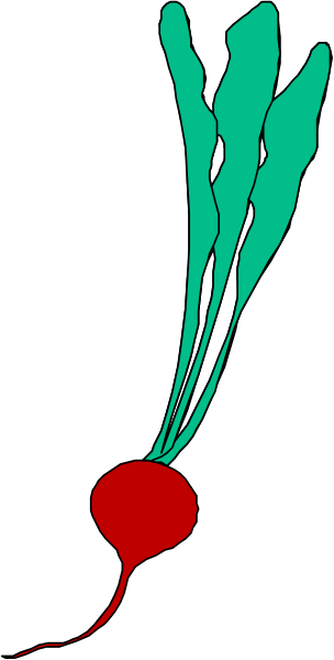 The image shows a stylized graphic of an abstract plant with green leaves on top and red roots at bottom against a black background.