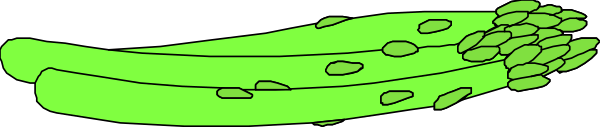 The image shows a green plant with multiple stems growing out of it against a gray background.