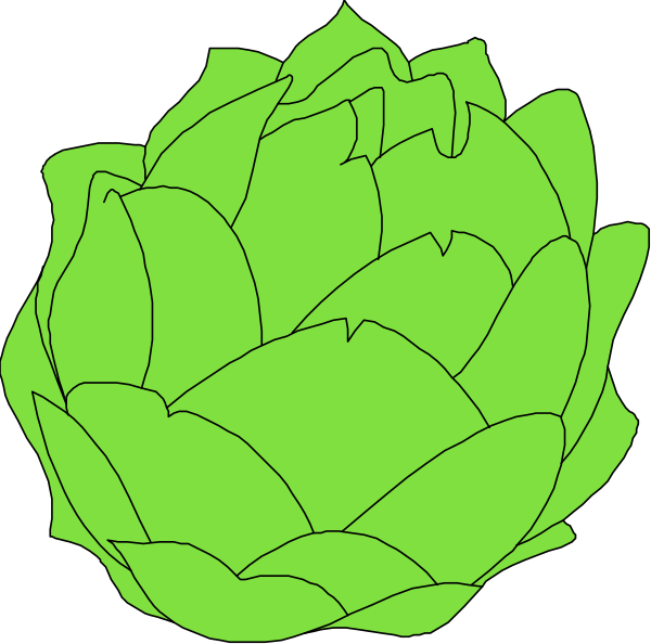 The image shows a green flower with many petals against a black background on top of an illustration that resembles two halves of an avocado placed side by side in front of it.