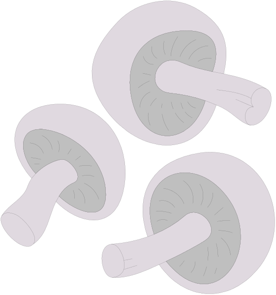 The image shows four mushrooms with stems pointing upwards against a black background on top of which there is text that reads "4 Mushroom" in white font at the bottom left corner.