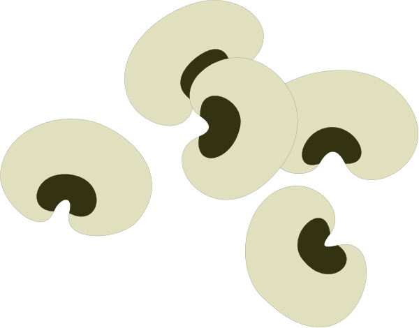 The image shows a collection of black and white shapes that resemble shells with swirl patterns on them against a dark background.