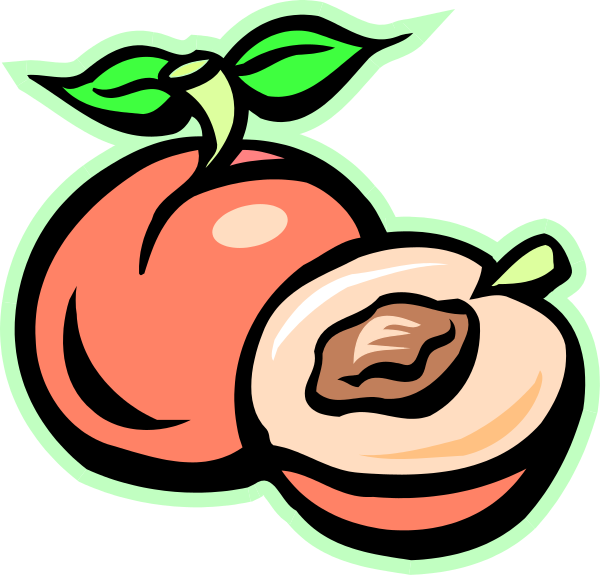 The image shows two halves of an apple with a brown stem between them against a white background.