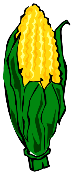 The image shows a graphic of an ear of corn with husks on either side against a black background.