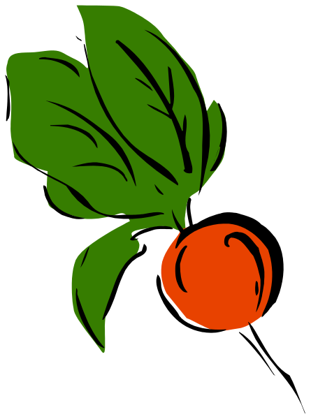 The image shows a leafy green plant with red fruit on it against a white background.