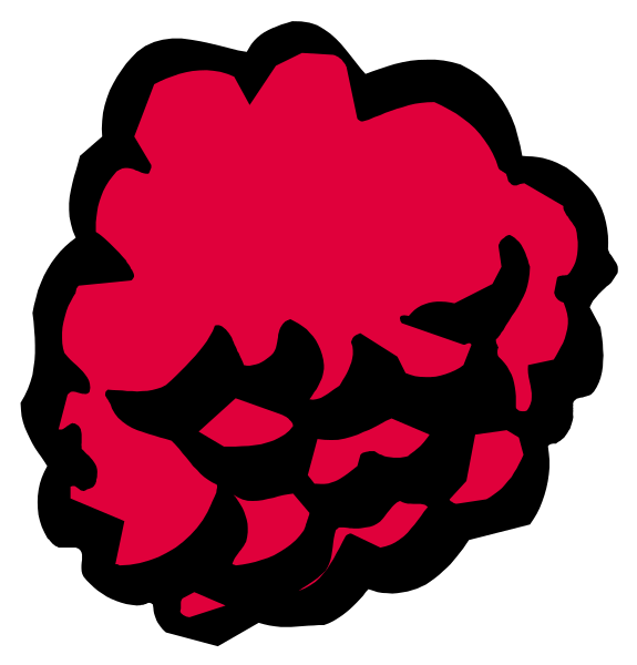 The image shows a red flower with multiple petals against a black background on the left side of the frame, while there is no visible content to provide information about what's shown in the right half due to its absence from this description.