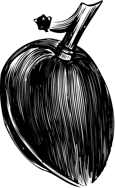The black and white illustration shows a pumpkin with long strands of hair on top against an indistinct background.