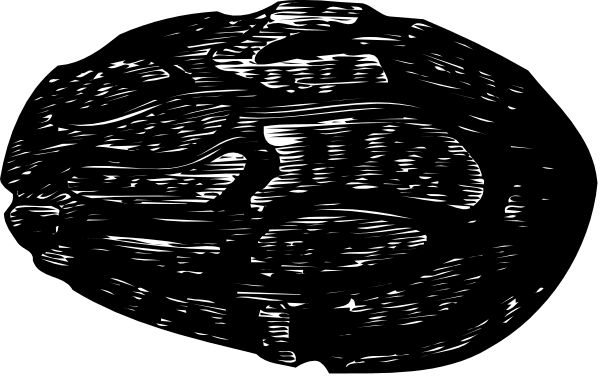 The image shows a black and white ultrasound scan of an unborn baby with various body parts visible such as limbs, head, spine, heart, stomach area, etc., set against a dark background that resembles space due to its starry appearance.
