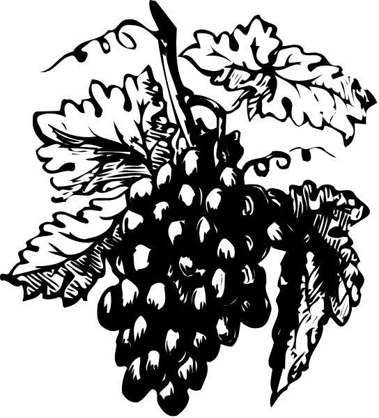 The black and white illustration depicts a bunch of grapes with leaves on top against an indistinct background.