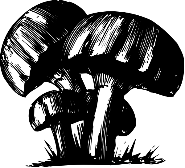 The black and white illustration shows three stylized mushrooms with a rough texture on their surfaces against an indistinct background.